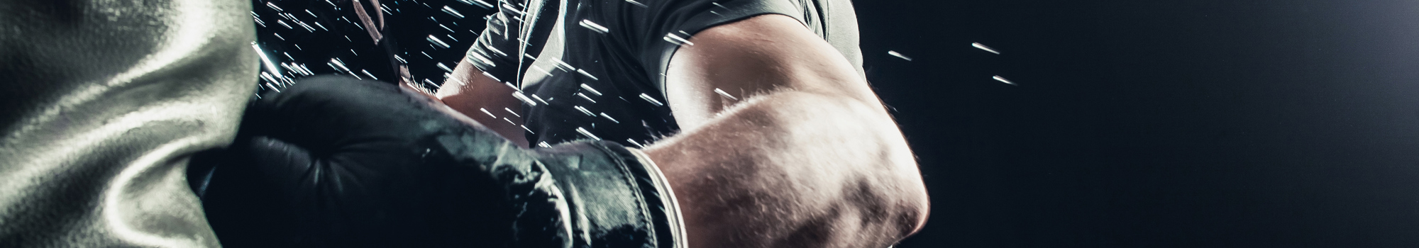 Https Asset.Box12fitness